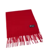Cashmere and Silk Scarf in Red